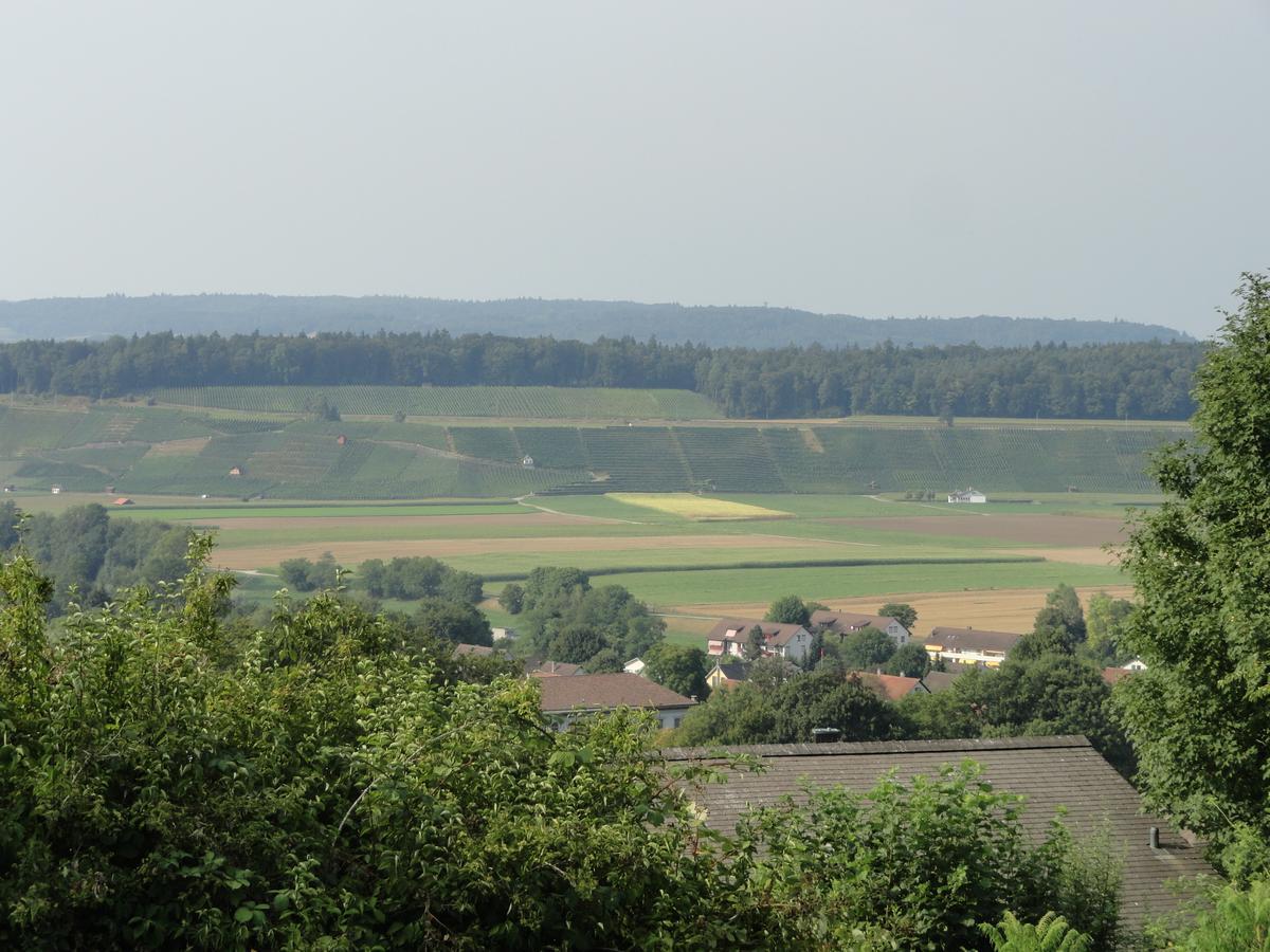 Bed And Breakfast Wegmann Andelfingen Exterior photo